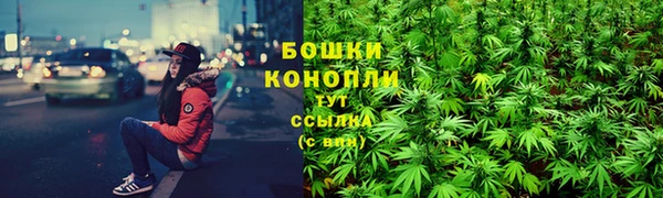 шишки Верхнеуральск