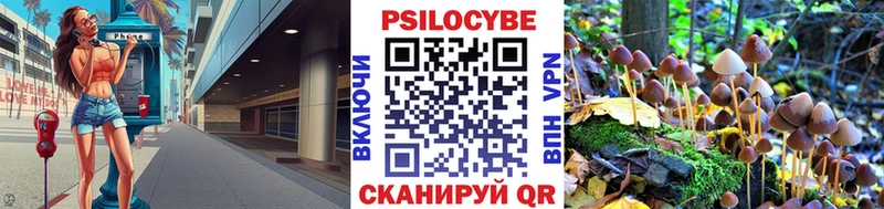 наркотики  Тольятти  Галлюциногенные грибы Psilocybine cubensis 
